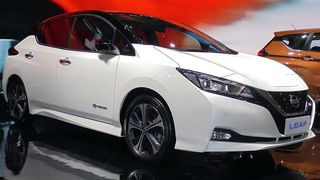 リーフ ZE1