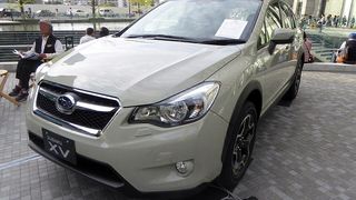 XV GP